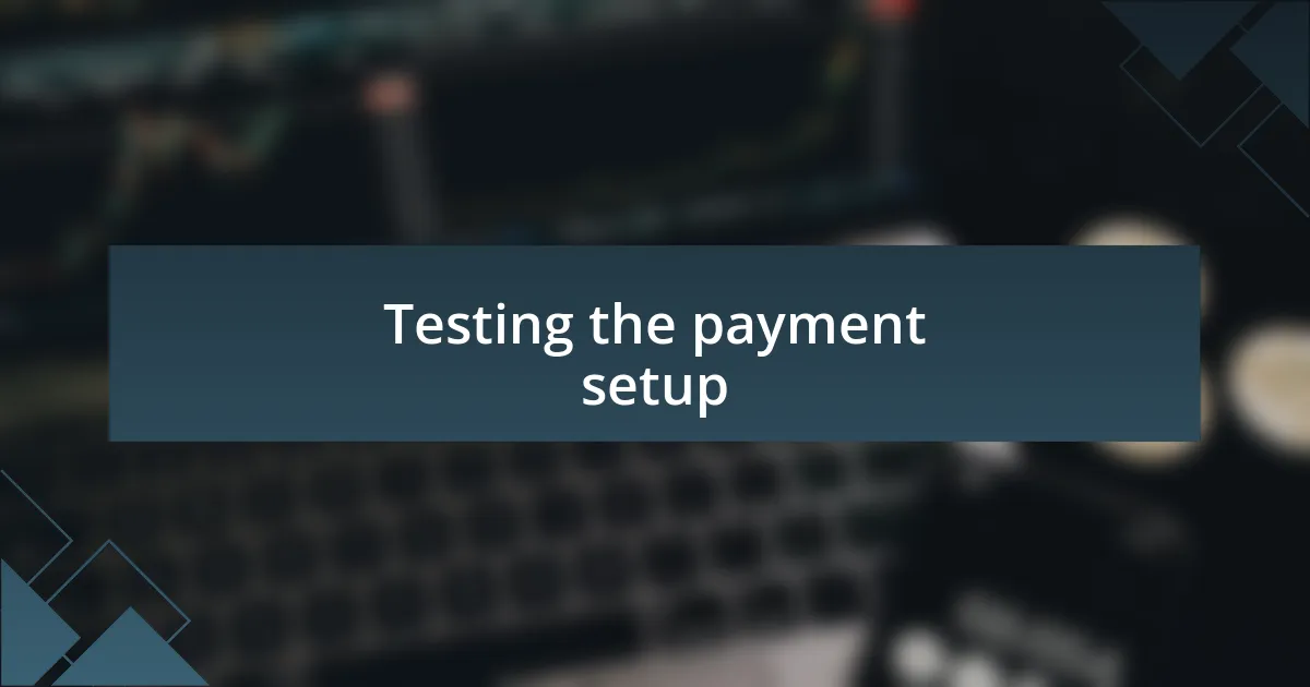 Testing the payment setup