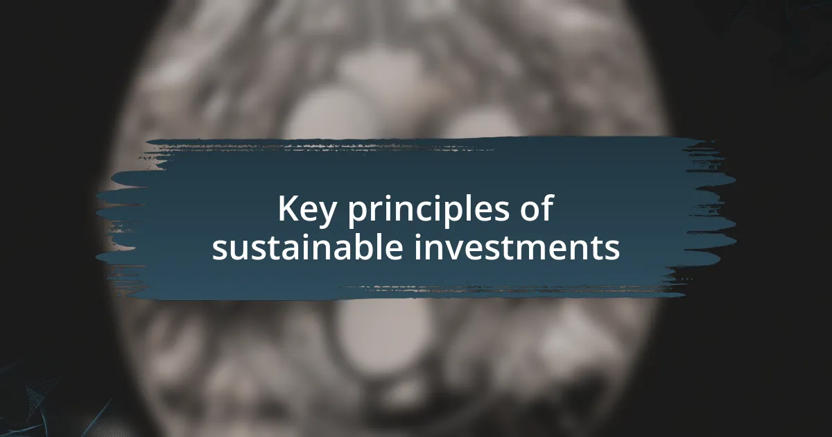 Key principles of sustainable investments